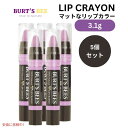 【最大2,000円クーポン5月27日01:59まで】【5個セット】 Burt's Bees バーツビーズ リップクレヨン カロライナコースト Lip Crayo...