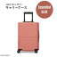 ジュライ スーツケース キャリーオン エッセンシャル クレイ 6.6ポンド / 42リットル July Luggage Car..