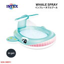 INTEX インテックス 子供用 インフレタブル プール くじら スプレー ブルー キッズプール Recreation Corp Pool Whale Spra...