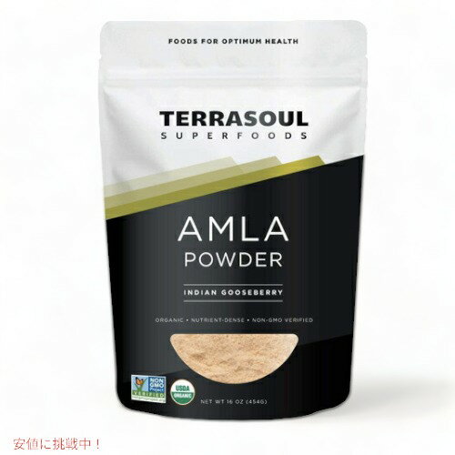 Terrasoul Superfoods Amla Powder Organic Raw / テラソウル スーパーフーズ オーガニック アムラパウ..