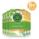 【最大1,000円クーポン9月24日01:59まで】Traditional Medicinals Organic Green Tea Ginger|トラディショナルメディシナル グリーンティージンジャー ティーバッグ 16包 24g