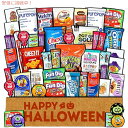 ハロウィン キャンディケア パッケージ ギフト (45個)(4)