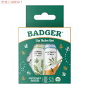 【4本セット】Badger Organic Classic Lip Balm Sticks, 0.15 oz, 4 Sticks / バジャー オーガニック リップバームスティック 4.2 g x ..