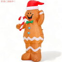 ブルーガラ インフレータブル クリスマス サンタクロース スーツ