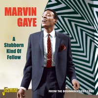 【輸入盤CD】Marvin Gaye / Stubborn Kind Of Fellow (マーヴィン・ゲイ)