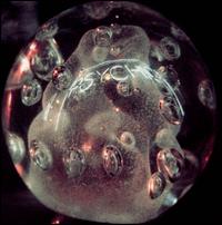 2013/10/8 発売輸入盤レーベル：MATADOR RECORDS収録曲：1. Golden Arrow - 11:202. Sitra - 1:223. Heart - 4:574. Paper Trails - 4:495. The Only Shrine I've Seen - 7:556. Freak, Go Home - 6:367. Greek Light - 2:548. Metatron - 5:07(ダークサイド)