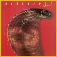 【輸入盤CD】【新品】Blackfoot / Strikes (リマスター盤) (Deluxe Edition)(ブラックフット)