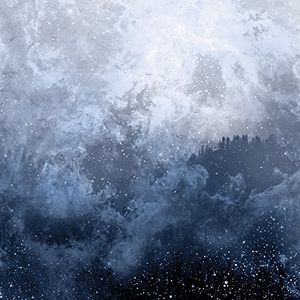 Wolves In The Throne Room / Celestite