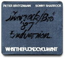 yACDzPeter Brotzmann/Sonny Sharrock / Whatthefuckdoyouwant
