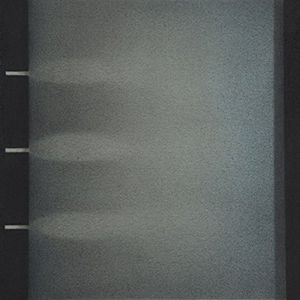 【輸入盤CD】【新品】Hammock / Sleepover Series: Volume 2 (Digipak) (ハンモック)