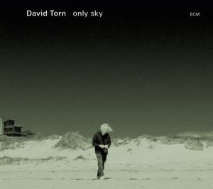 【輸入盤CD】【新品】David Torn / Only Sky (デヴィッド・トーン)