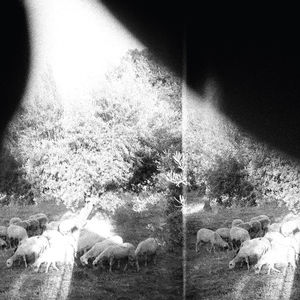 【輸入盤CD】Godspeed You Black Emperor / Asunder Sweet Other Distress