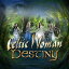 ͢CDCeltic Woman / Destiny (ƥåޥ)