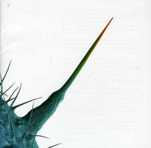 2014/1/7 発売輸入盤レーベル：REAL WORLD PROD. LTD収録曲：(ピーターガブリエル)