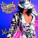 【輸入盤CD】Rick James / Wonderful (リック・ジェームス)