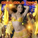 【輸入盤CD】【新品】VA / SOCA GOLD 2004