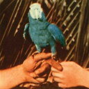 【輸入盤CD】【新品】Andrew Bird / Are You Serious (Digipak)【K2016/4/1発売】(アンドリュー・バード)