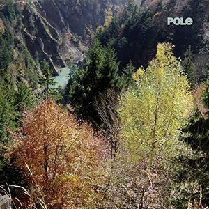 2015/9/18 発売輸入盤レーベル：POLE収録曲：(ポール)Wald begins immediately, ends abruptly, and is divided into three acts of three tracks each. It is the first studio album under Stefan Betke's Pole moniker in eight years... half an eternity in the digital age - yet the pieces on Wald seem timeless, or to have fallen from time. Stefan Betke: 'After Steingarten (SCAPE 044CD, 2007) I was on tour for two years. At the same time, Barbara Preisinger and I set up our record label-scape. Those were two hindering circumstances that were not exactly conducive to a creative restart... I couldn't have really added anything new in the wake of Steingarten and the dub declensions I had made in previous years.'... Over several years, long walks in the woods preceded the resumption of the production of his own material: 'Walks through the Isar valley, but also through the forests in the Alps... You have to go through life with an open mind and with extended antennae. If something strikes you and inspires you to create new music, then it will be for a reason...' For Pole, it was the forest; it's spatiality... manifested, for example, in raw sounds (second act) and in psychedelic structures (third act), which sound as if they might be guitars (but are actually distorted synthetic lines)... From the tangible experience of the forest, a rather abstract question emerges: 'How can I take what I have seen or felt and make it audible?' This question becomes a narrative, a storyline. The initial story is that Pole went into a dialogue with his instruments, and the second story can be heard in the three acts of Wald. The new compositions on Wald do not deny their inheritance within the continuum of dub, yet they bring an entirely new vocabulary to Pole's sonic and spatial universe... 'If Wald had nothing to do with the world of Pole, then I would have come up with a new alter ego and produced it under a new name.' The structures, forms, and processes that Betke perceived in the forest were translated into musical structures, forms, and processes that inherently sounded like Pole. Perhaps the forest simply produces reverberations (just like the echo in the mountains!) that give rise to a bounty of thoughts. The story behind it is told in music, without the use of words - as has previously so often been the case with Pole.