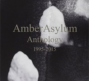 楽天あめりかん・ぱい【輸入盤CD】Amber Asylum / Anthology （12PC）