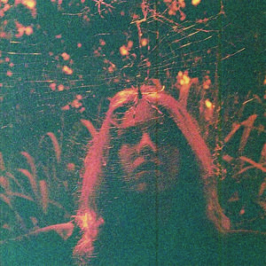 【輸入盤CD】Turnover / Peripheral Vision