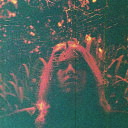 【輸入盤CD】【新品】Turnover / Peripheral Vision