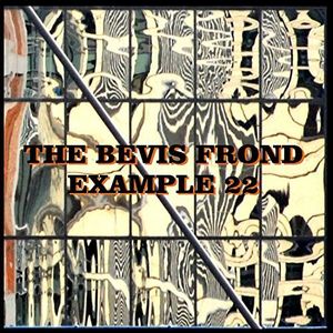 Bevis Frond / Example 22