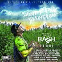 楽天あめりかん・ぱい【輸入盤CD】Baby Bash / Don't Panic It's Organic （Digipak）【K2016/11/11発売】（ ベイビーバッシュ ）