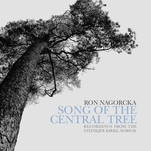 yACDzNagorcka/Bamford/Frydenlund/Hamnes / Song Of The Central Tree