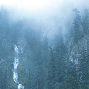 ꤫󡦤Ѥ㤨֡͢CDۡڿʡWolves In The Throne Room / Diadem Of 12 Stars K2016/6/3ȯۡפβǤʤ3,390ߤˤʤޤ