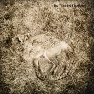 Artist Name: D - 【輸入盤CD】【新品】Third Eye Foundation / Semtex