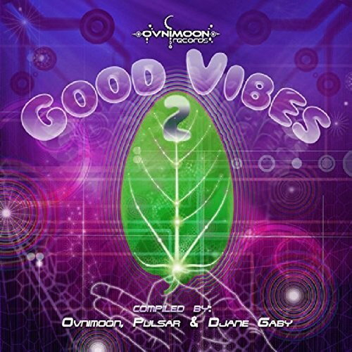 【輸入盤CD】【新品】VA / Good Vibes V2