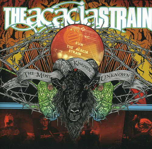 ͢CDAcacia Strain / Most Known Unknown: Live(ȥ쥤)