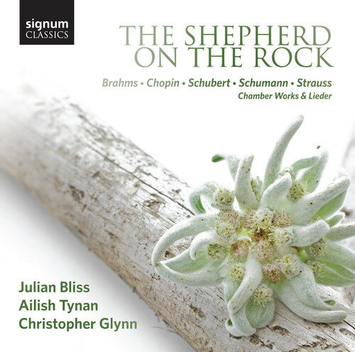 【輸入盤CD】【新品】Brahms/Bliss/Tynan/Glynn / Shepherd On The Rock - Works By Brahms Chopin
