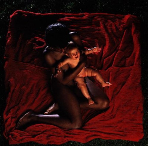 【輸入盤CD】AFGHAN WHIGS / CONGREGATION (アフガン・ウィッグス)