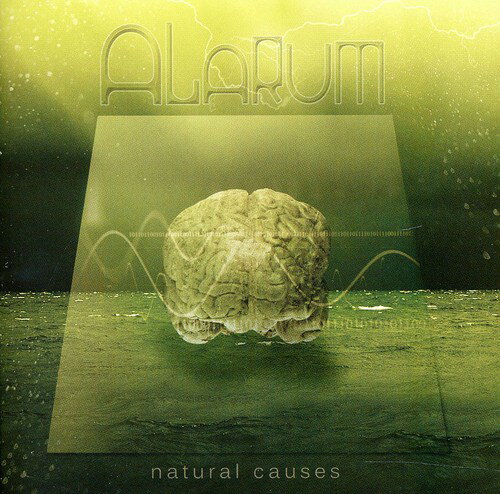 【輸入盤CD】【新品】Alarum / Natural Causes