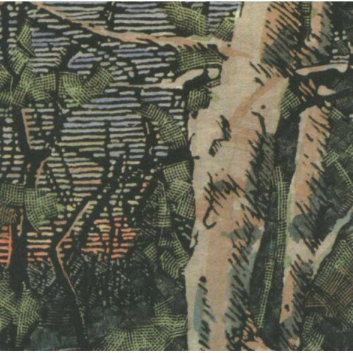 【輸入盤CD】【新品】ANOMOANON / ASLEEP MANY YEARS IN THE WOOD