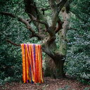 【輸入盤CD】James Holden/Animal Spirits / Animal Spirits 【K2017/11/3発売】