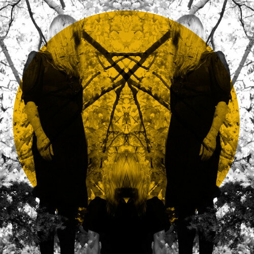 Austra / Feel It Break (オーストラ)