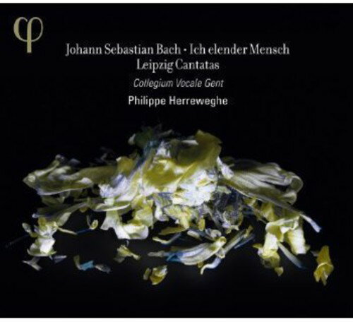 【輸入盤CD】【新品】Bach/Collegium Vocale Gent/Herreweghe / Ich Elender Mensch: Leipzig Cantatas..