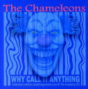 【輸入盤CD】Chameleons / Why Call It Anything(Bonus CD)(Bonus Tracks) (カメレオンズ)