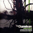 【輸入盤CD】Chameleons / Dreams In Celluloid(Bonus CD)(Bonus Tracks) (カメレオンズ)