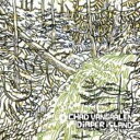 【輸入盤CD】Chad Vangaalen / Diaper Island チャド・ヴァンガーレン 