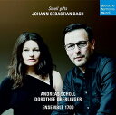 【輸入盤CD】【新品】Bach/Dorothee Oberlinger/Andreas Scholl / J.S. Bach: Small Gifts【K201...