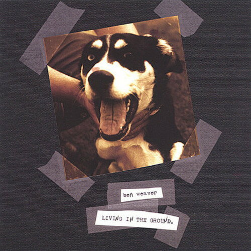 【輸入盤CD】【新品】BEN WEAVER / LIVING IN THE GROUND(ベン・ウィーバー)