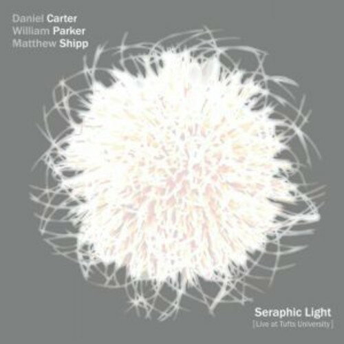 【輸入盤CD】Daniel Carter/William Parker/Matthew Shipp / Seraphic Light (Live At Tufts University) (Digipak)【K2018/5/18発売】