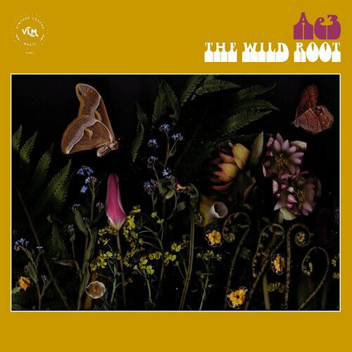 【輸入盤CD】【新品】 AE3 (Alan Evans Trio) / The Wild Root 【K2019/7/19発売】