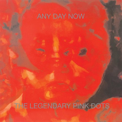 【輸入盤CD】【新品】Legendary Pink Dots / Any Day Now (Expanded Version) (リマスター盤) 【K2018/6/22発売】