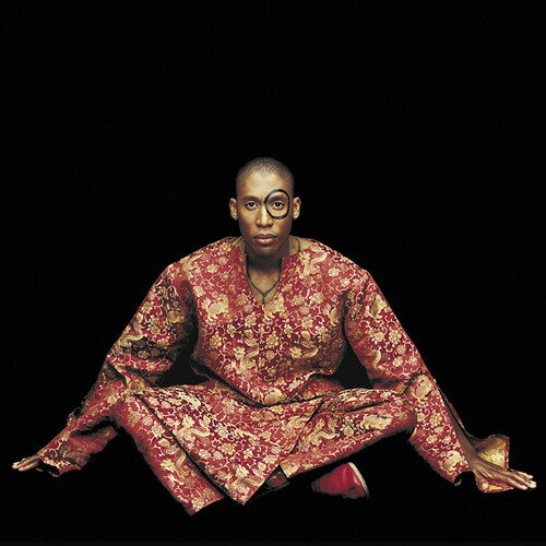 ͢CDۡڿʡRaphael Saadiq / Instant Vintage K2020/3/6ȯ(ե롦ǥ)