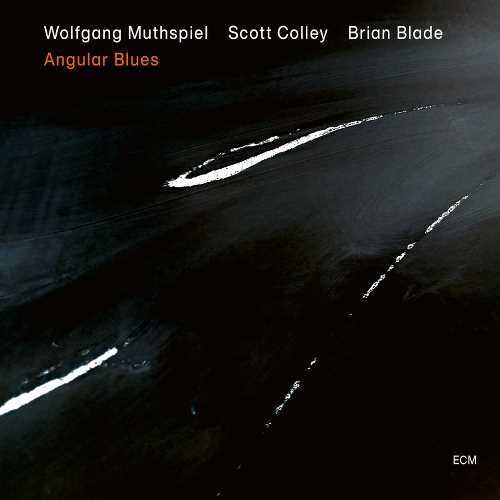 【輸入盤CD】Wolfgang Muthspiel/Scott Colley/Brian Blade / Angular Blues 【K2020/3/20発売】