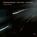 2020/3/20 発売輸入盤レーベル: ECM RECORDS収録曲：2020 release. The Austrian guitarist is paired here with long-time collaborator Brian Blade on drums and Scott Colley, whose especially earthy sound helps give this trio it's own dynamic. Muthspiel alternates between acoustic and electric guitar and, along with his characteristically melodic originals, plays some standards, his first-ever bebop rhythm-changes tune on record and a single guitar-only track with electronic delay imbuing the baroque-like rounds with a hypnotic glow.